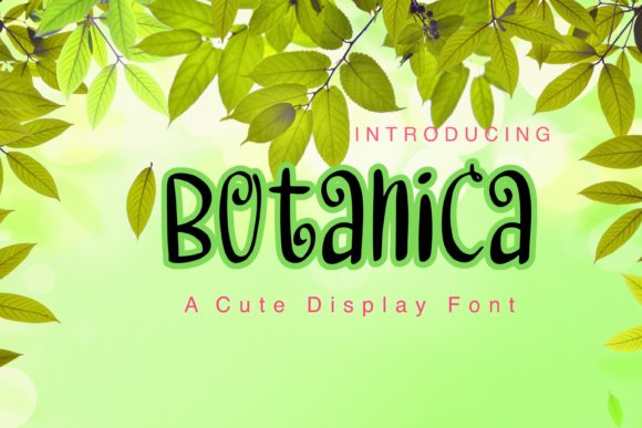 Botanica: A Warm Font for Business