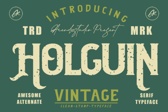 Use Holguin for Bold Web Design